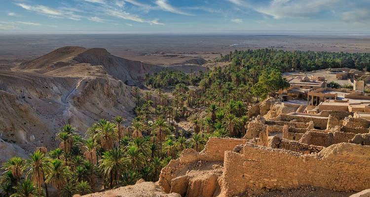 Expansive view over a vast palm oasis and desert plateau from ancient ruins