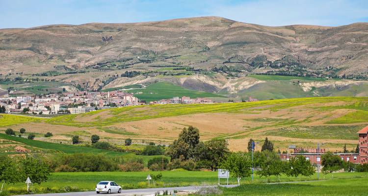 Rolling green and yellow fields surround a small Algerian town nestled against arid hills.