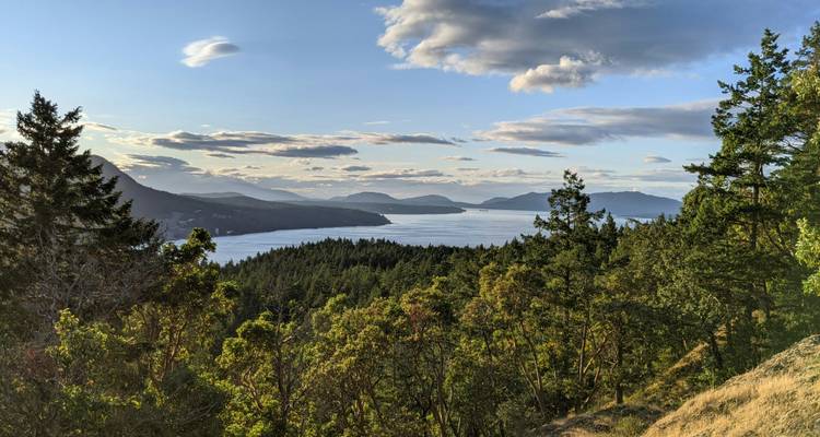 Expansive coastal forest and islands viewed from a hillside lookout under soft evening light.