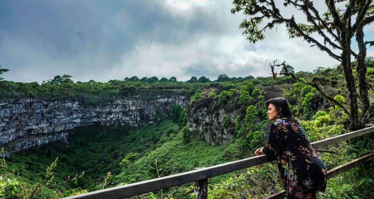 Une femme s'appuie sur une balustrade en bois surplombant un vaste rebord de cratère verdoyant et des falaises luxuriantes sous des ciels nuageux.