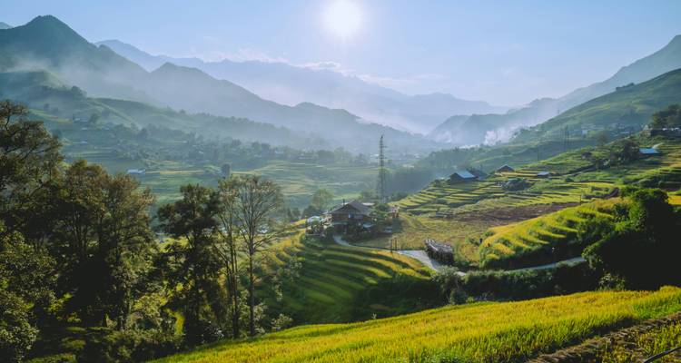 Golden sunlight illuminates layered rice terraces and mist-capped peaks in rural Vietnam.