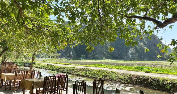 Wooden tables and chairs sit beneath leafy trees overlooking lotus ponds and karst cliffs.