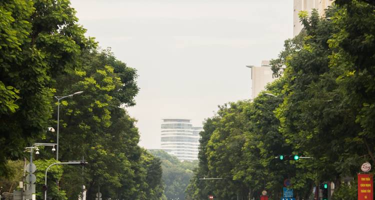 Tree-lined urban avenue with distant modern building under bright overcast sky