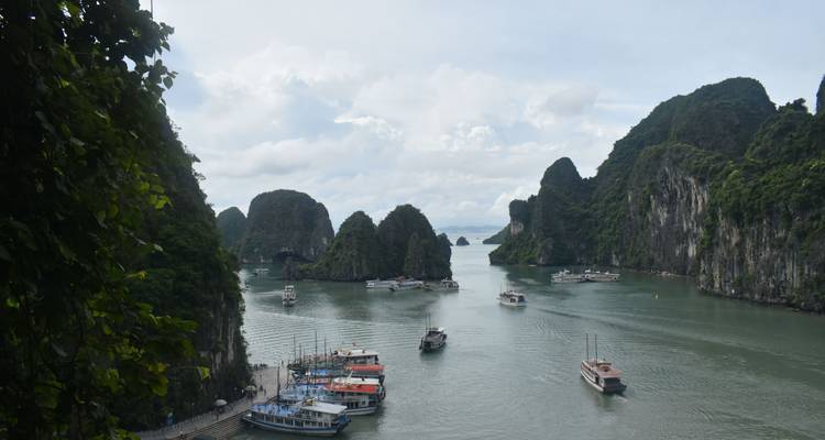 Panoramic lookout over Ha Long Bay with numerous tourist boats navigating between dramatic limestone islands.