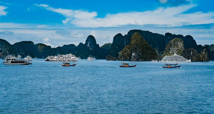 Talrijke cruiseschepen en kleine bootjes varen tussen de imposante kalkstenen karstformaties in het blauwe water van de Halong-baai.