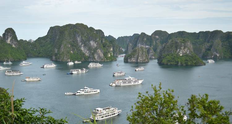 Wide vista of a bay crowded with cruise junks navigating between green limestone stacks.