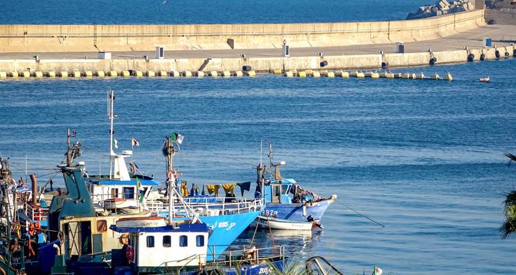 Small fishing harbour with bright blue boats moored beside a long concrete breakwater on a calm day.
