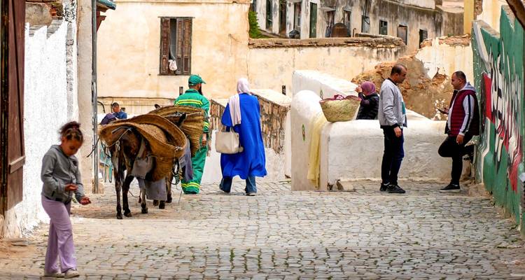 Cobblestone street scene with locals, a laden donkey and colorful walls in a historic quarter.