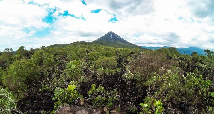 Conical volcano rising above lush green forest and dark lava fields under a bright sky.