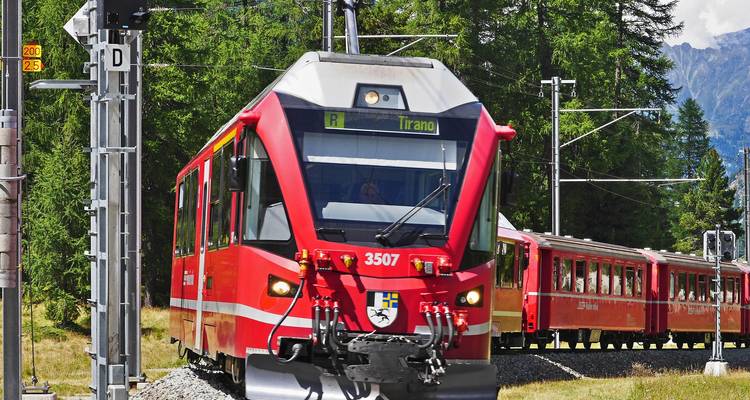 Hellroter Bernina-Express-Zug, der sich auf alpinen Eisenbahngleisen durch einen Kiefernwald nähert.