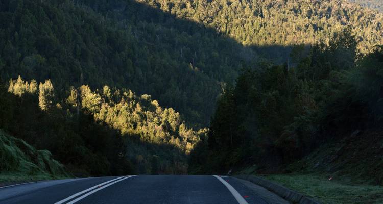 An empty winding road cuts through dense, shadowed forested mountains.