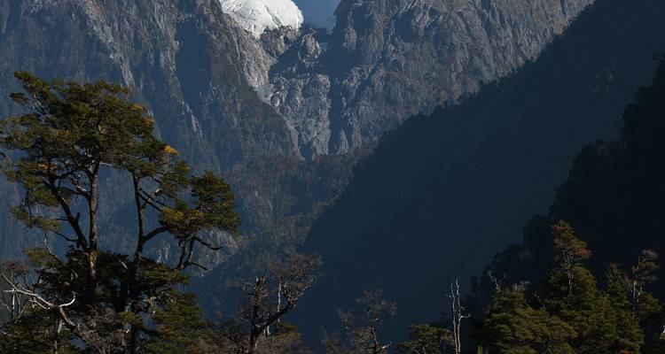 Steep granite walls frame a distant snow-covered peak above dense woodland.