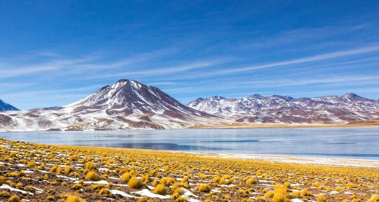 Snow-dusted volcanic peaks rise beyond a high-altitude lake and golden tundra under a flawless blue sky.