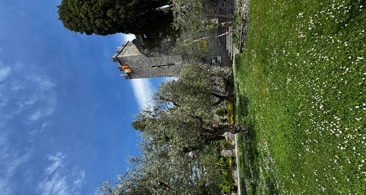 Stone tower with fluttering flag rises above an olive grove and daisy-spotted lawn on a bright day.