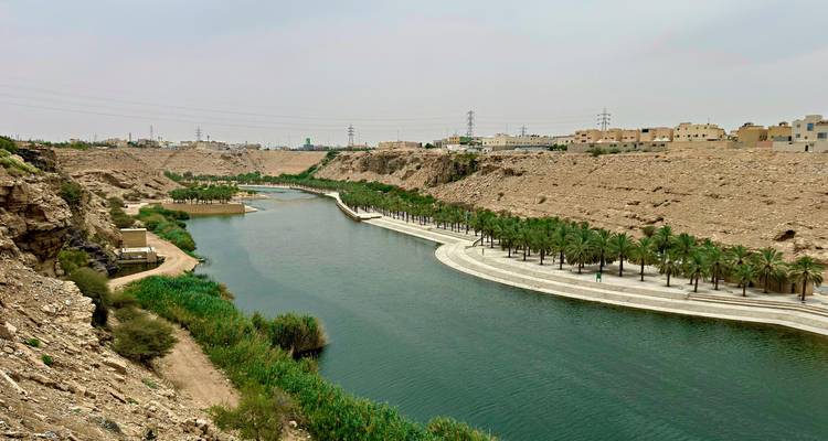 Door mensen gemaakte kanaal met palmbomen erlangs dat kronkelend door een rotsachtige woonerf buiten Riyadh loopt.