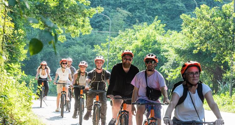 Cyclists riding along forested road in bright sunshine, lush greenery all around.