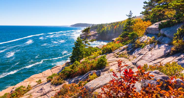 Vibrant autumn foliage and granite cliffs overlook deep blue Atlantic waters along Acadia National Park coastline.