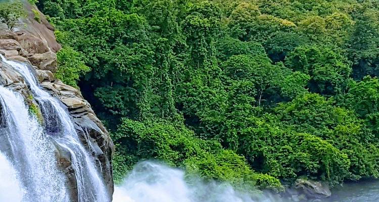 Powerful tropical waterfall cascading into a misty gorge surrounded by dense green rainforest