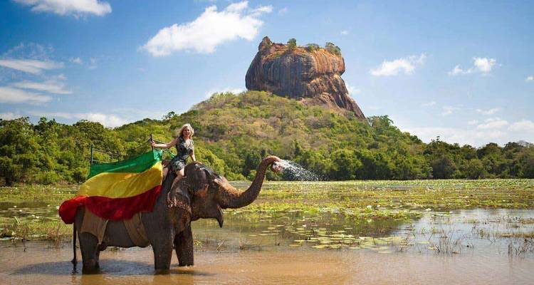 Elephant standing in shallow water spraying trunk while rider waves a colorful Sri Lankan flag with Sigiriya Rock towering behind.
