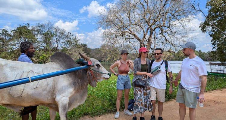Tourists interact with a gray ox harnessed to a cart near a lake while a local guide looks on.