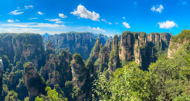 Les piliers de grès imposants et la forêt dense de Zhangjiajie sous un ciel bleu éclatant