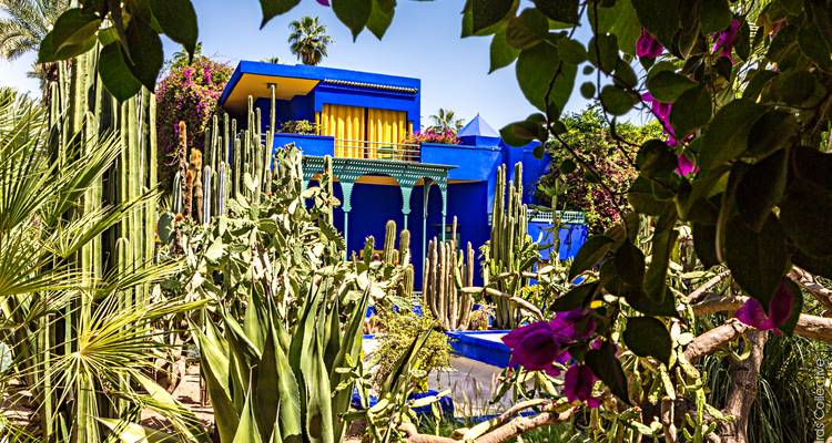 Bright blue Art Deco residence framed by cacti and flowering vines in Marrakech’s Majorelle Garden.
