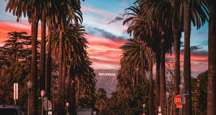 Palm tree-lined street framing the distant Hollywood sign under a dramatic pink sunset sky.