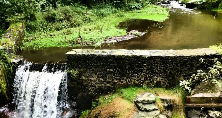 Ein kleiner Wasserfall fließt über ein Steinwehr in einen ruhigen Waldpool neben moosigen Ufern.