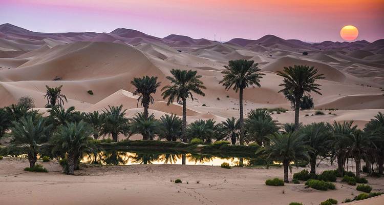 Golden sun sets behind vast rolling sand dunes and a palm-lined oasis reflecting the sky.