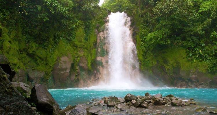Puissante cascade se précipitant dans un bassin turquoise entouré de parois de forêt tropicale humide et mousseuse.