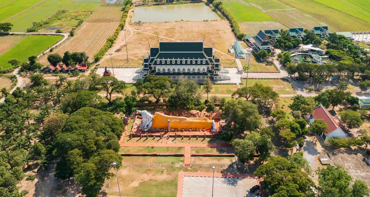Luftaufnahme einer langen liegenden Buddhastatue und nahegelegener Tempelgebäude, umgeben von Ackerland.