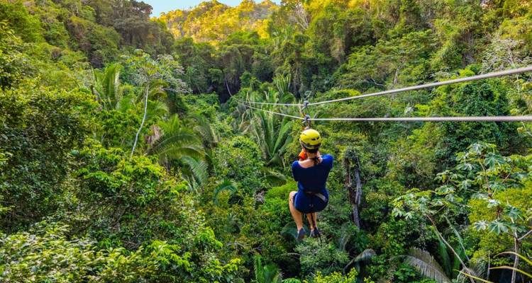 Une personne pratiquant la tyrolienne haut au-dessus de la canopée luxuriante de la jungle
