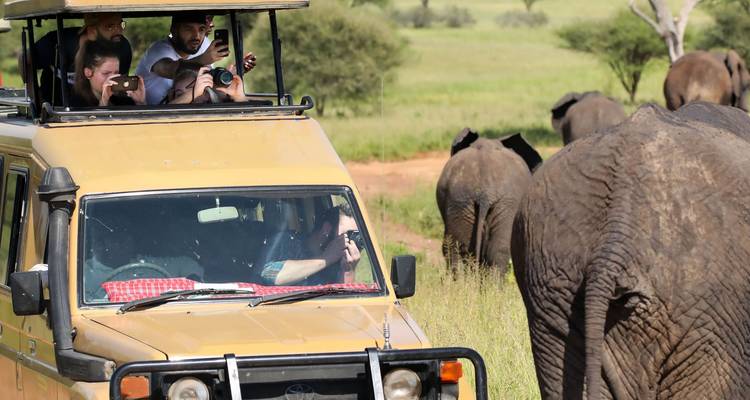 Tourists photographing elephants from an open safari vehicle