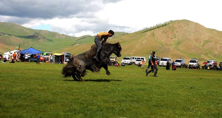 Rider trying to stay atop a bucking horse during a festival on a grassy steppe with spectators and tents