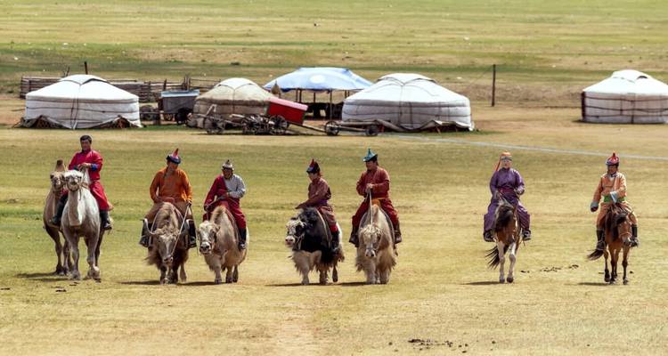 Line of traditionally dressed Mongolian riders on camels and yaks with gers in the background