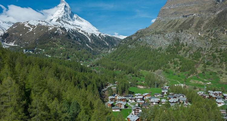 Groene zomerse vallei met een charmant alpensdorp en de met sneeuw bedekte Matterhorn die boven dichte dennenbossen uittorent.