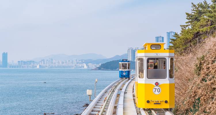 Farbenfrohe Küstenstrassenbahnen fahren auf Schienen neben dem Meer und der fernen Skyline entlang.