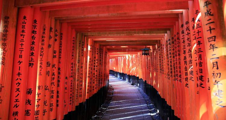 Corredor infinito de torii vermellones en el Santuario Fushimi Inari iluminado por la suave luz del día.