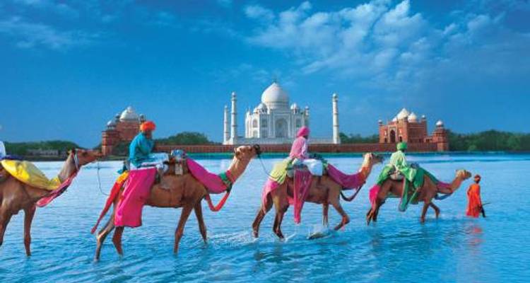 Taj Traveller - 8 days - On The Go Tours