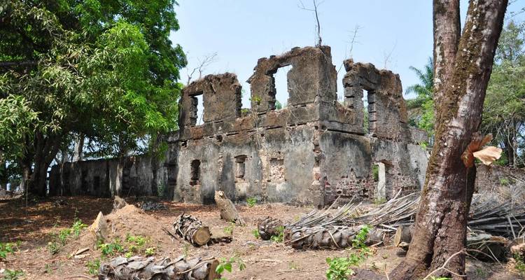 Stone ruins of an old colonial-era building surrounded by leafy trees and fallen logs on the ground.