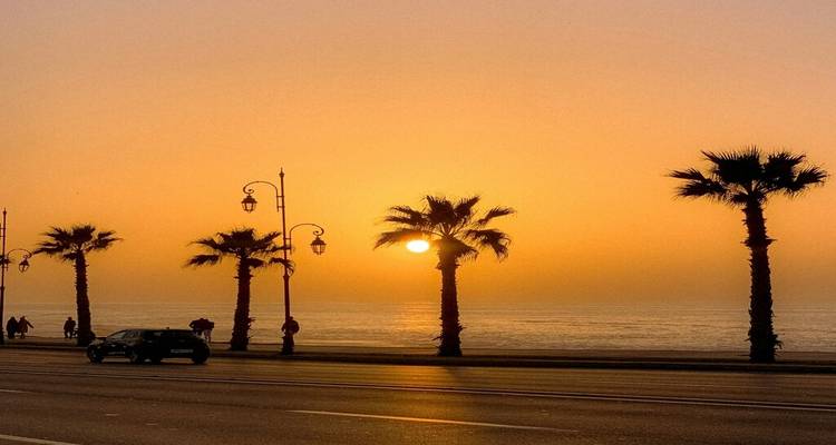 Des palmiers en silhouette bordent une promenade côtière au coucher de soleil doré.