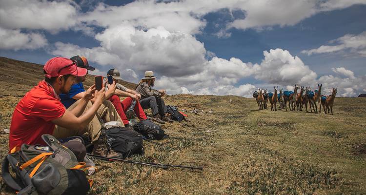 Groupe de randonneurs se reposant sur un plateau herbeux tandis que les lamas de bât s'approchent sous des nuages spectaculaires