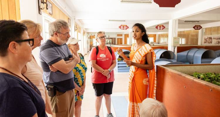 Guide in bright sari explains tea production to a group of tourists inside a processing facility.