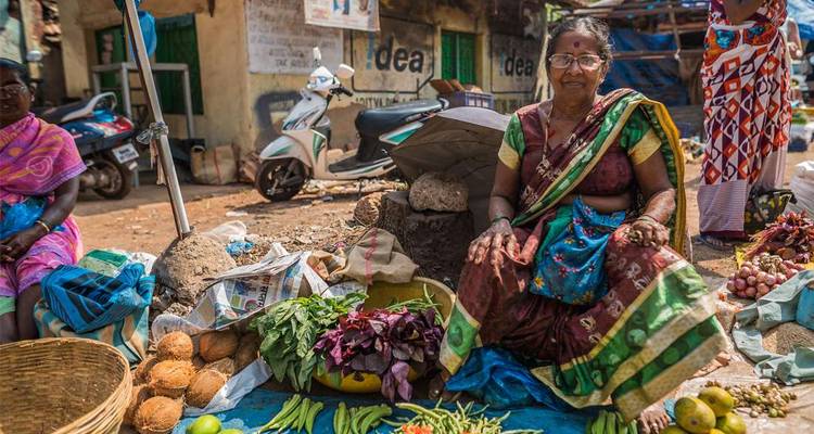 Local woman in sari sells fresh produce and coconuts at a rural market stall.