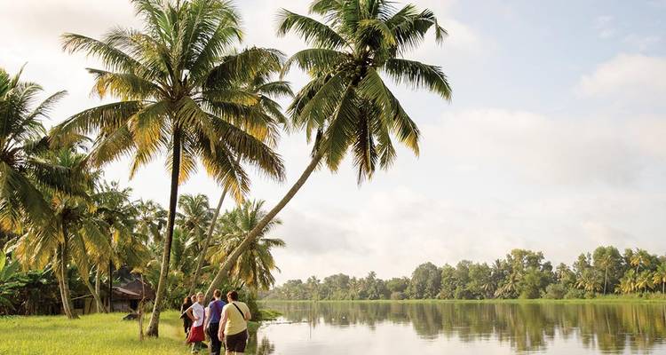 Travellers stand by calm Kerala backwaters flanked by tall coconut palms.