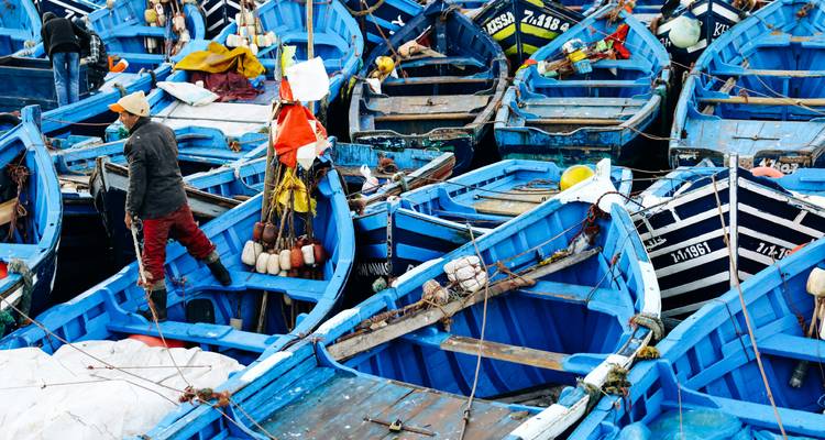 Visser in rode broeken balanceert tussen dicht opeengepakte blauwe houten bootjes in de haven.