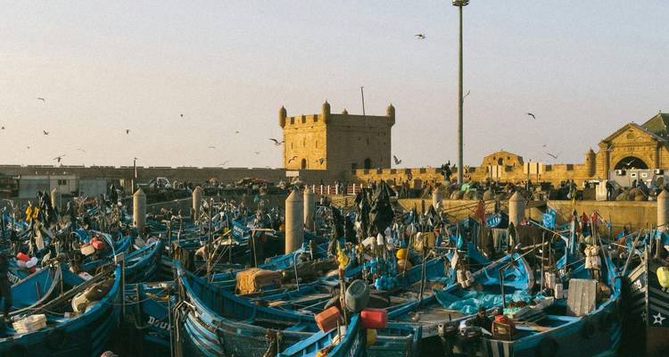 Ruim uitzicht op de drukke visserij haven van Essaouira met blauwe boten en netten, met fort op de achtergrond.