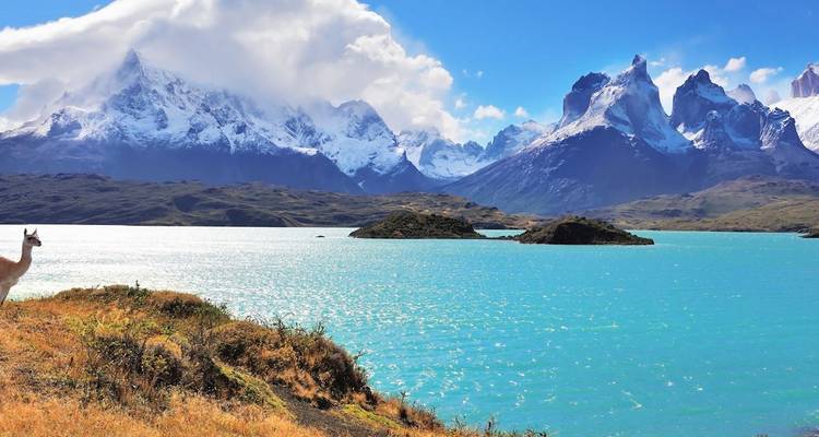 Turquoise Lake Pehoé set against the snow-clad peaks of Torres del Paine with a lone guanaco on the shore.