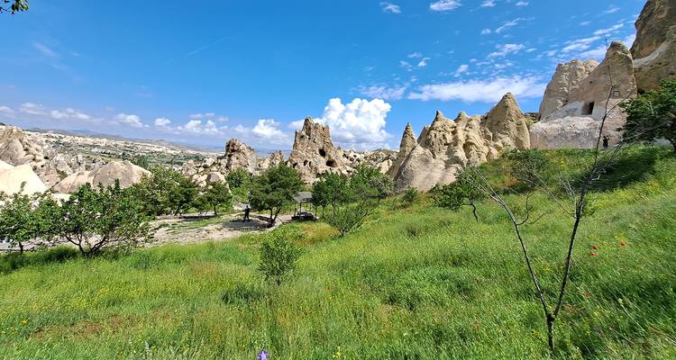 Rollende groene vallei vol sprookjesachtige schoorstenen in Cappadocië