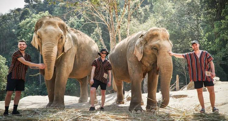 Three travellers in traditional hill-tribe shirts pose with two Asian elephants in a forest sanctuary.